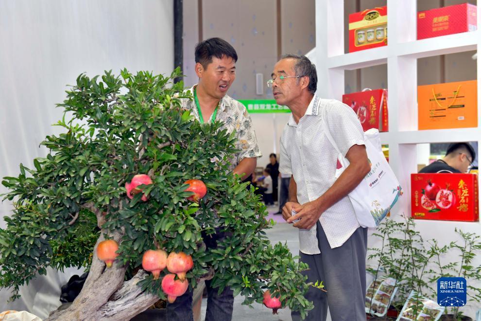 捕鱼上下分微信号